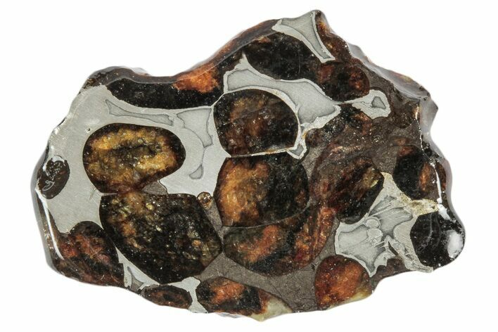 Sericho Pallasite Meteorite ( g) Slice - Kenya #346445